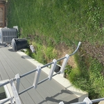 Mulch Installations; Rejuvenate your property landscape