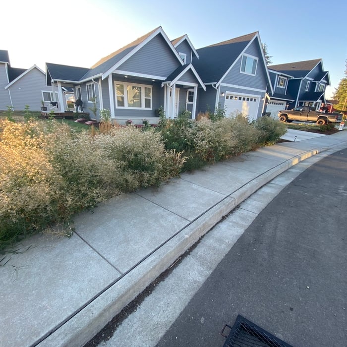Property Cleanup
