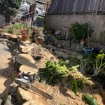 Tree Service Project