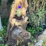 Tree Service Project