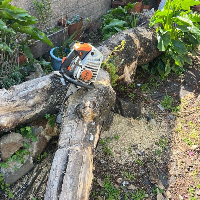 Tree Service Project