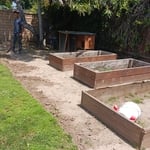 Before adding mulch and boarder