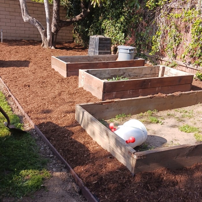 After adding mulch