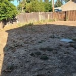 Landscaping Project