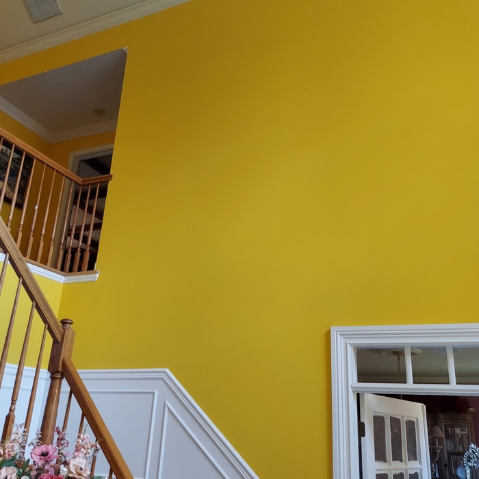 Entrance Foyer
