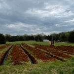 Septic installation
