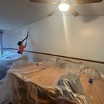 Interior paint