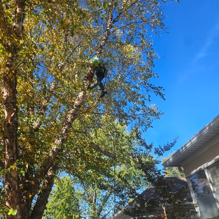 Additional Photos
