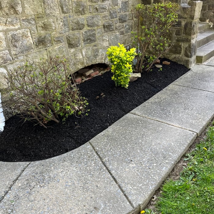 Landscaping Project