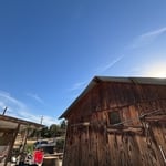 Hazard Oak Tree Removal