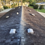 Roof cleaning