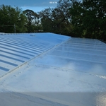 Roof cleaning