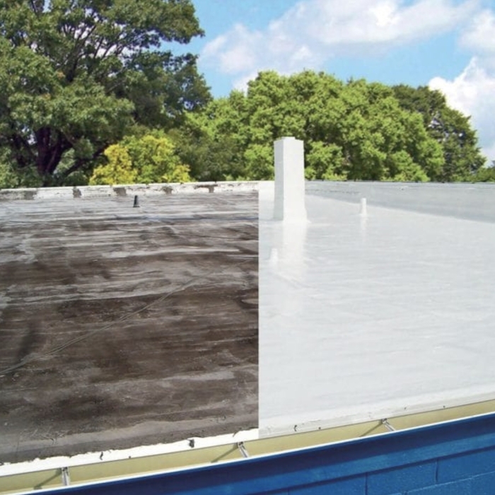 Roof cleaning