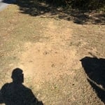 Project photo