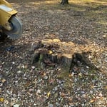 Project photos