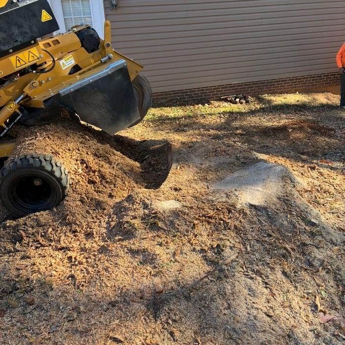 Project photos