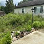 Lawncare Projects