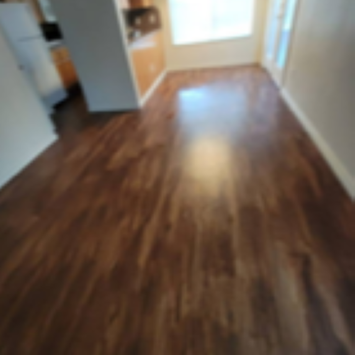 Move Out Clean