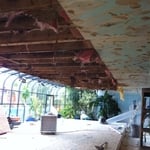 Large Residential Mold Remediation Project