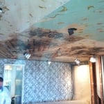 Large Residential Mold Remediation Project