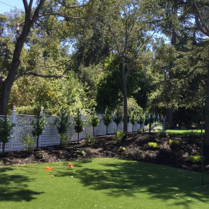 Additional Photos