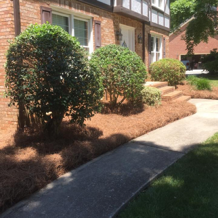Additional Photos
