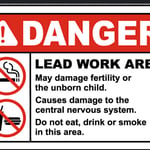 Lead removal under HPD violations
