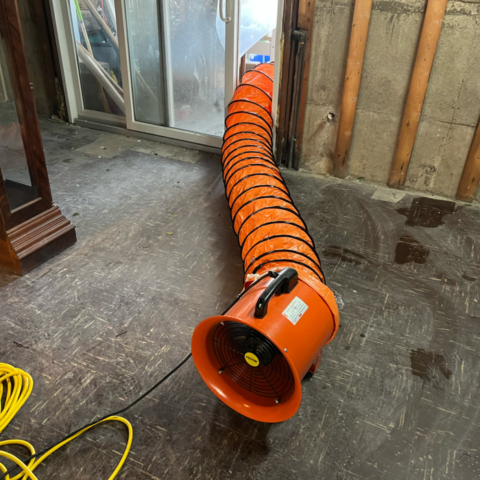 Mold testing and remediation