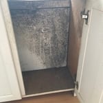 Mold remediation