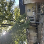 Tree Service Project