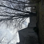 Tree Service Project