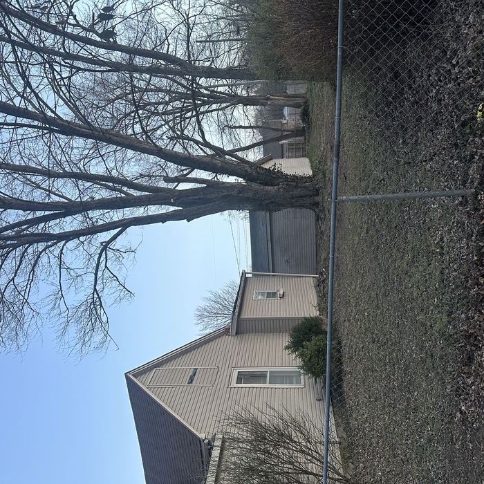 Tree Service Project