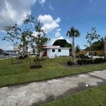 Cajun Daquiris Metairie