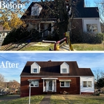 Anna Fenton’s Tree Removal & Stump Grind Project