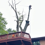 Bucket Truck What!?!