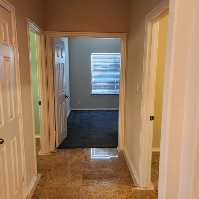 Interior Home painting FTW