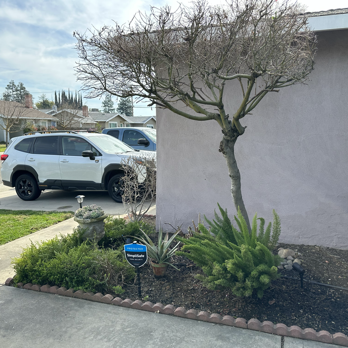 Additional Photos