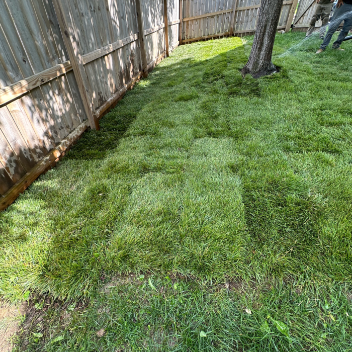 Additional Photos
