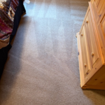Condo Carpet cleaning