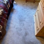 Condo Carpet cleaning