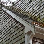 Exterior Rot Repair