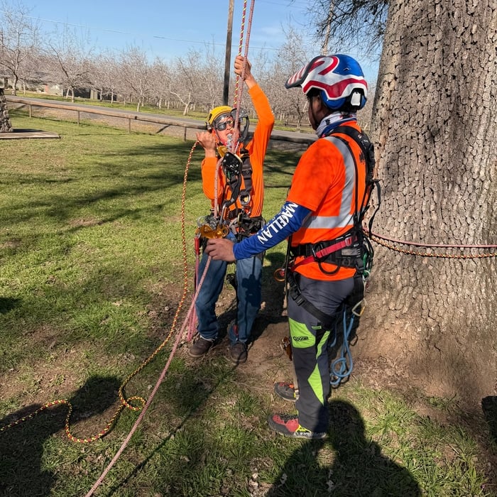 Climbing Training, Safety