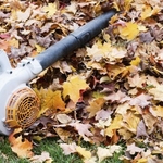 Spring and Fall Clean Up