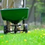 Lawn Fertilization