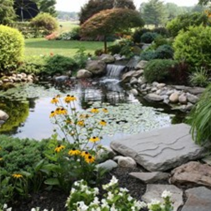 Property Beautification