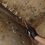 Sampling Suspicious Growth