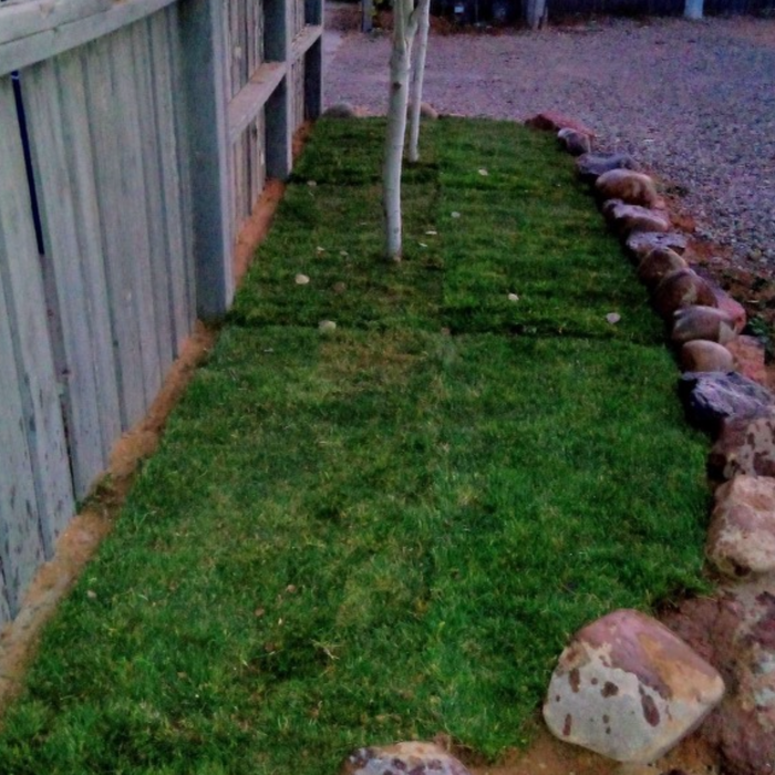 Additional Photos