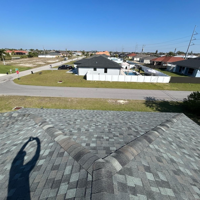 Shingle Roof