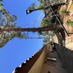 Tree Service Project