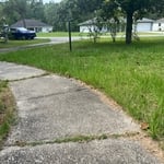 Here you can really see the overgrown grass in and on the sidewalk